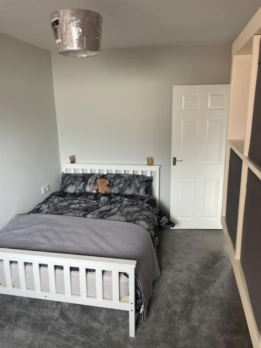 Fantastic Full 3 Bedroom Modern Apartment Belfast Eksteriør billede