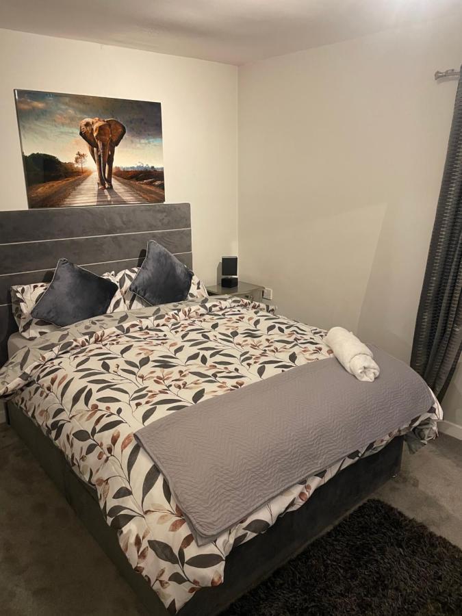 Fantastic Full 3 Bedroom Modern Apartment Belfast Eksteriør billede